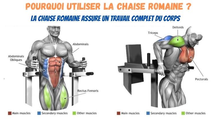 Comment la chaise romaine aide à muscler le corps complet 