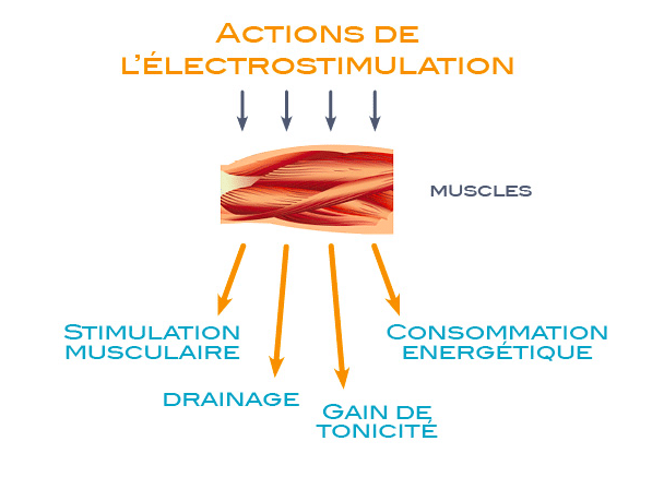 Fonction de l'életrostimulation sur le muscle