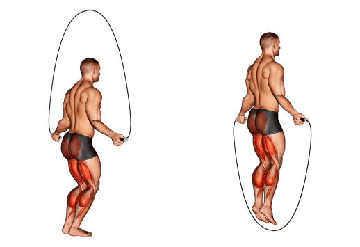 Muscles mobilisés lors de pratique de la corde à sauter 