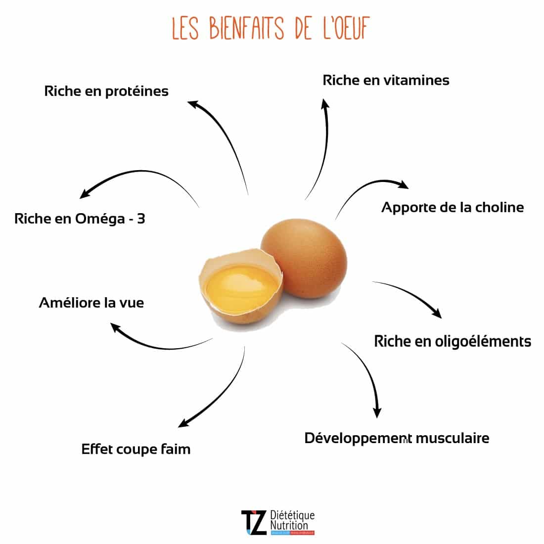 Top 10 des meilleures sources de protéines pour prendre du muscle
