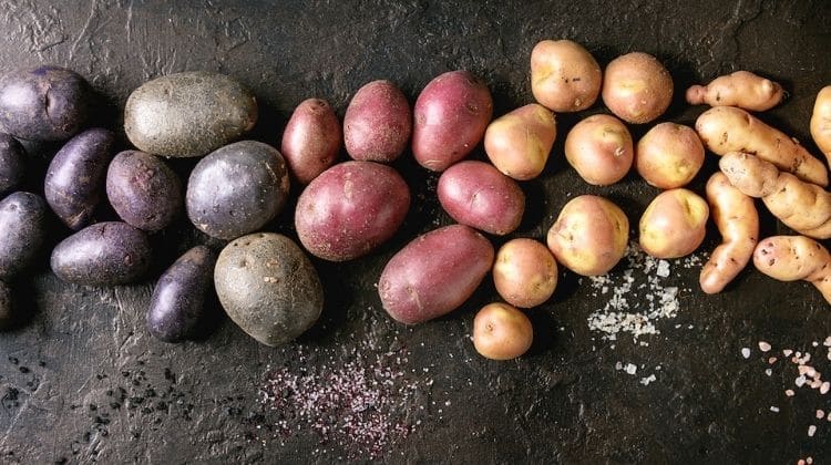 Les pommes de terre font-elles grossir ? Décryptons le mythe