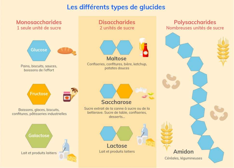 differents-glucides