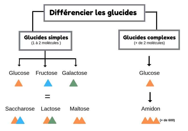 differents glucides
