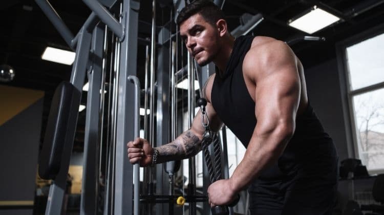 Top 5 des exercices de triceps au poids du corps sans matériel