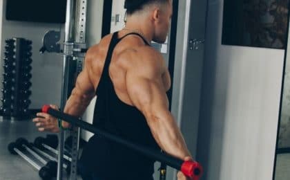 musculation arrière épaule