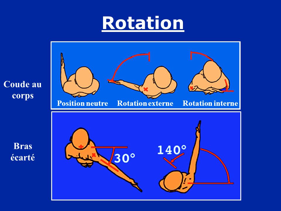 rotation épaule