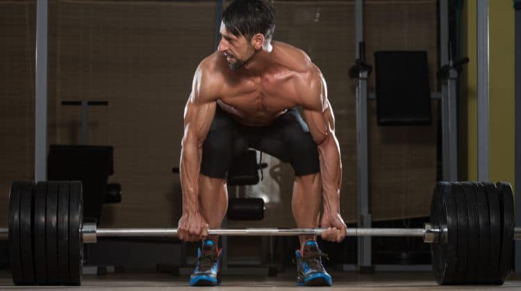Séances de musculation : combien d’exercices par muscle ?