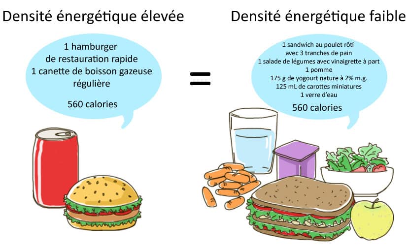 densité énergetique aliments