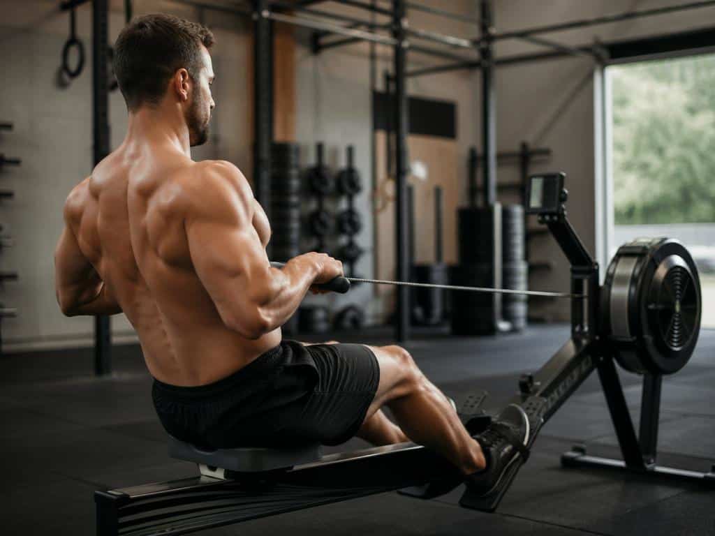 Prise de masse : quel muscle fait travailler le rameur ?