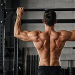 Quels sont les muscles sollicités par les tractions ?